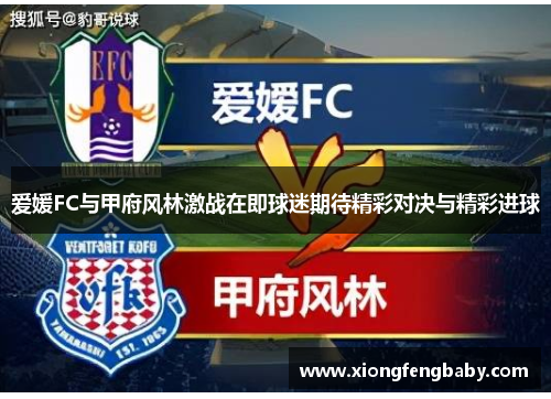 爱媛FC与甲府风林激战在即球迷期待精彩对决与精彩进球